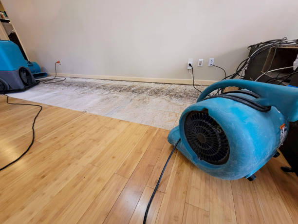 Reliable Flood Damage Restoration contractor in Edna, TX by Hirex Water Damage