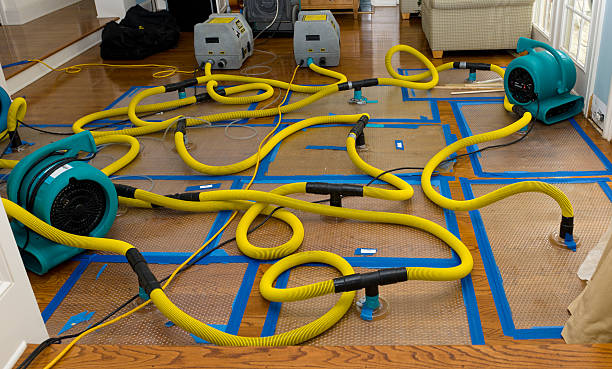Professional Flood Damage Restoration technician working in Edna, TX
